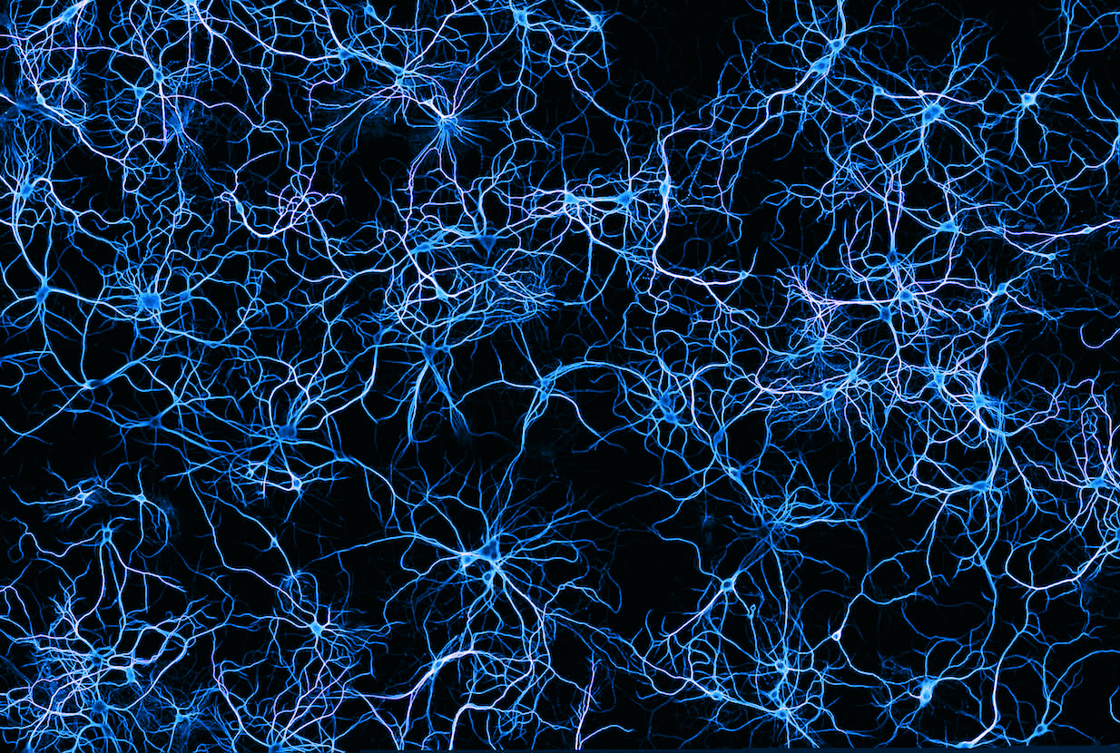 Neurophotonics Journal Club at the BIC