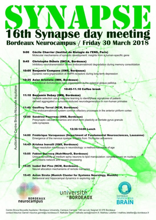 16th Synapse day meeting
