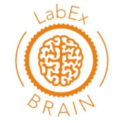 Logo LabEx BRAIN