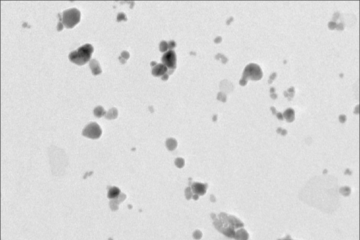 D. Morin et al dans Neurotoxicology