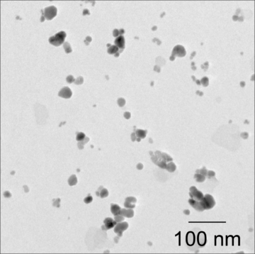 nanoparticules - Didier Morin - INCIA - Bordeaux Neurocampus