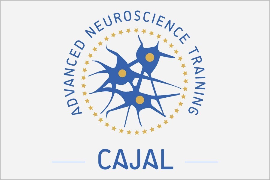 Cajal course : Ageing cognition.