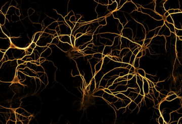 Formations du BIC en 2019