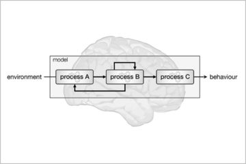 Workshop INSERM : Introduction to computational neuropsychiatry: from brain to cognition with a quantitative approach