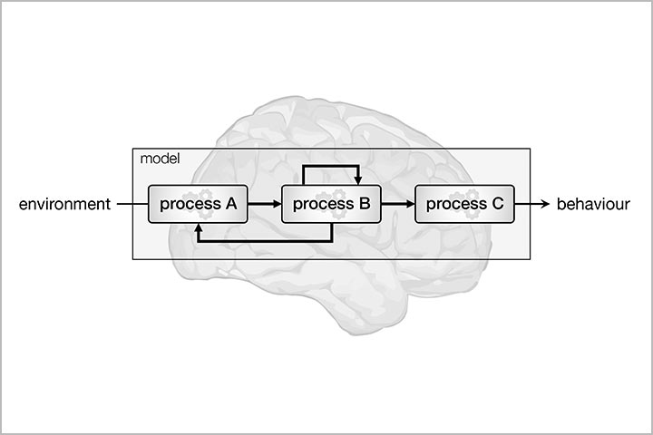 Workshop INSERM : Introduction to computational neuropsychiatry: from brain to cognition with a quantitative approach