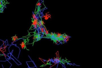 Inscriptions pour la Cajal de mars 2020