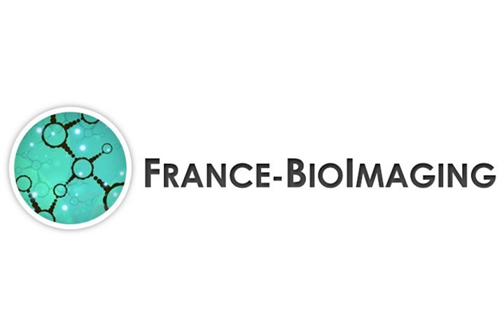 France BioImaging recherche des chargé(e)s de mission