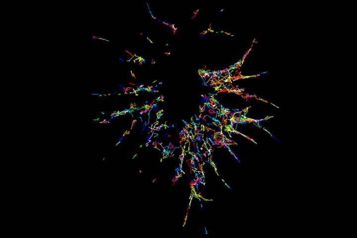 Steve Dos-Santos Carvalho et al in eLife