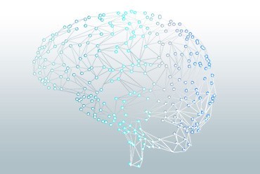 Fonds de dotation Neuroglia