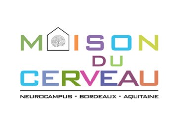 Financements de stages par la Maison du cerveau