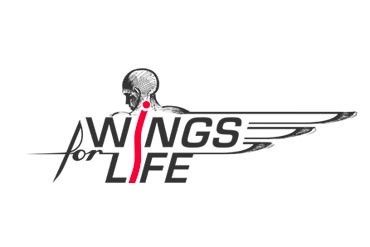 Wings for life (spinal cords research) grants