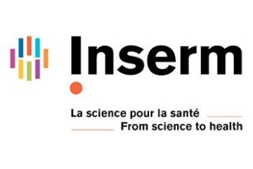 Giovanni Marsicano interviewé par le magazine Inserm