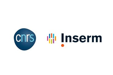 Logo CNRS Inserm