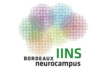 Un nouveau site web pour l'IINS