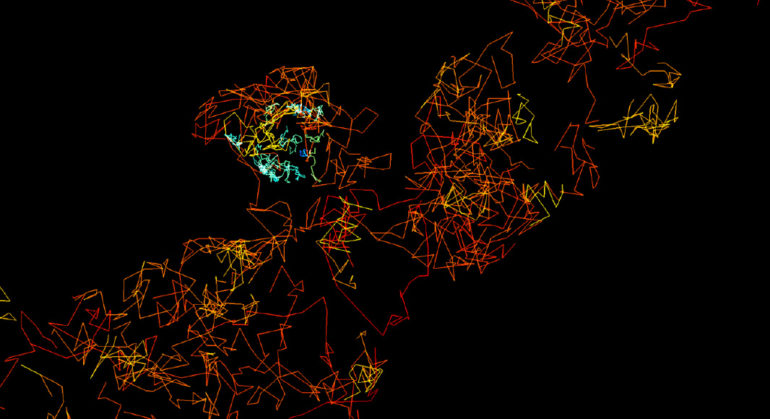 Zoom on individual trajectories of membrane receptors simulated with FluoSim. The diffusion coefficient is color coded (blue = low diffusion, red = high diffusion), showing the diffusional trapping of receptors at a post-synaptic density.
