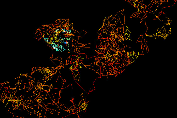 Matthieu Lagardère and Olivier Thoumine in Scientific Reports