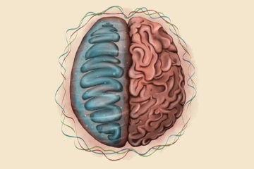 Cajal Course: Bioenergetics for brain function