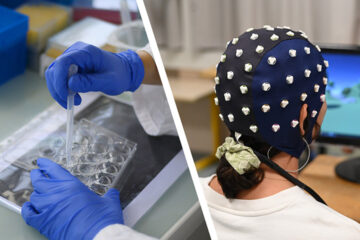 Bordeaux Neurocampus PhD program: Call for applications – 2026