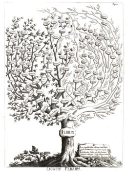 An early attempt at a nosological classification, this classificatory tree of fevers depicted the relationships among more than 100 types of fever. From Francesco Torti, Therapeutice Specialis ad Febres Periodicas Perniciosas, 1712 (Licensed under CC BY 4.0, courtesy of the Wellcome Trust.)