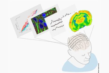 « Ageing cognition » Cajal course: registration are open