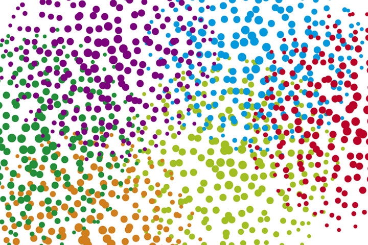 Comité Parité de Bordeaux Neurocampus