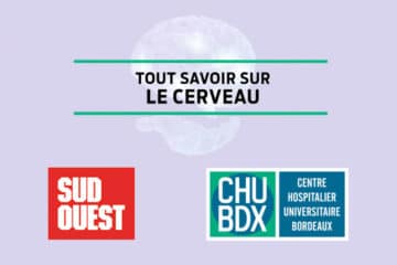 Conférence « Tout savoir sur le cerveau »