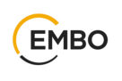 EMBO: New Venture Fellowships