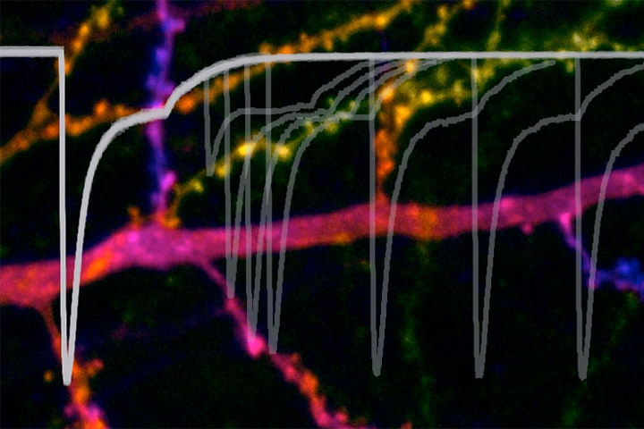 Mini-symposium - Of synapses, receptors, nanoscale imaging and more…