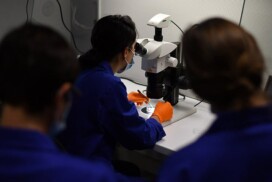 Workshop Introduction to experimental Neuroscience 2026 – Call for instructors