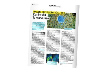 Benjamin Dehay dans le magazine de l'Inserm