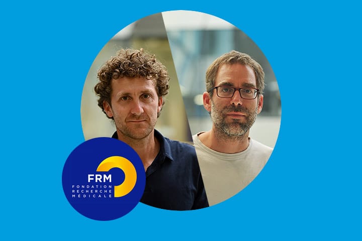 L'équipe de Nicolas Mallet et Arthur Leblois lauréate de la FRM