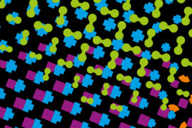 Lauréats de l’AAP Seed Projects 2026