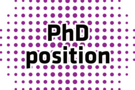 Thesis position – Investigating a neurodevelopmental origin of amyotrophic lateral sclerosis