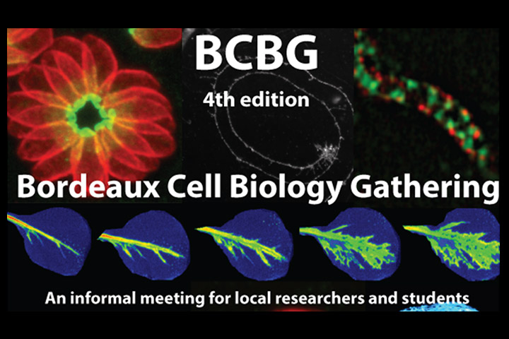 4th Bordeaux Cell Biology Gathering: Friday 7th April from 9am to 7pm.