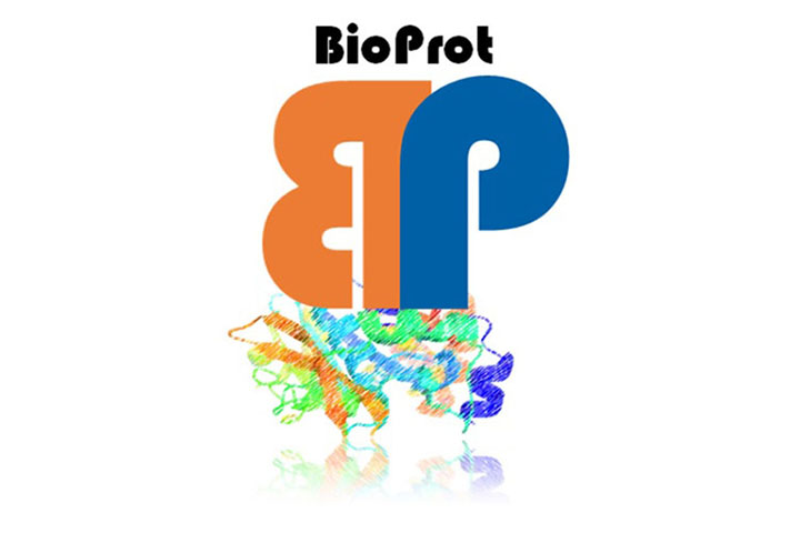 Actus de la plateforme Biochimie et biophysique des protéines (BioProt)