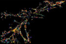NMDA receptor functions in health and disease: old actor, new dimensions