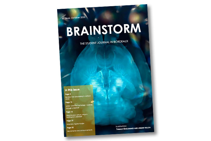 Brainstorm: 6th issue