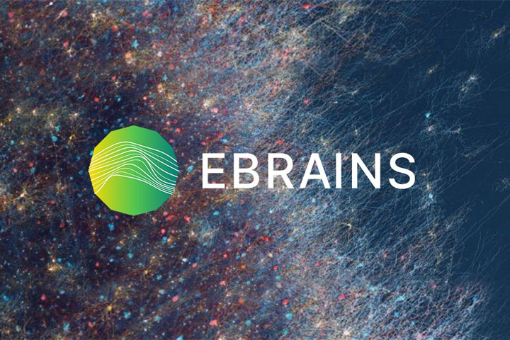 Financement de 38 millions d'euros pour l'infrastructure de recherche EBRAINS