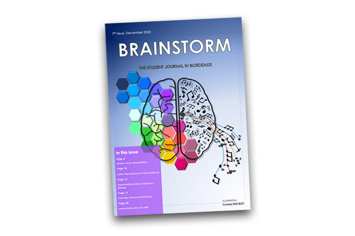 Brainstorm: 7th issue