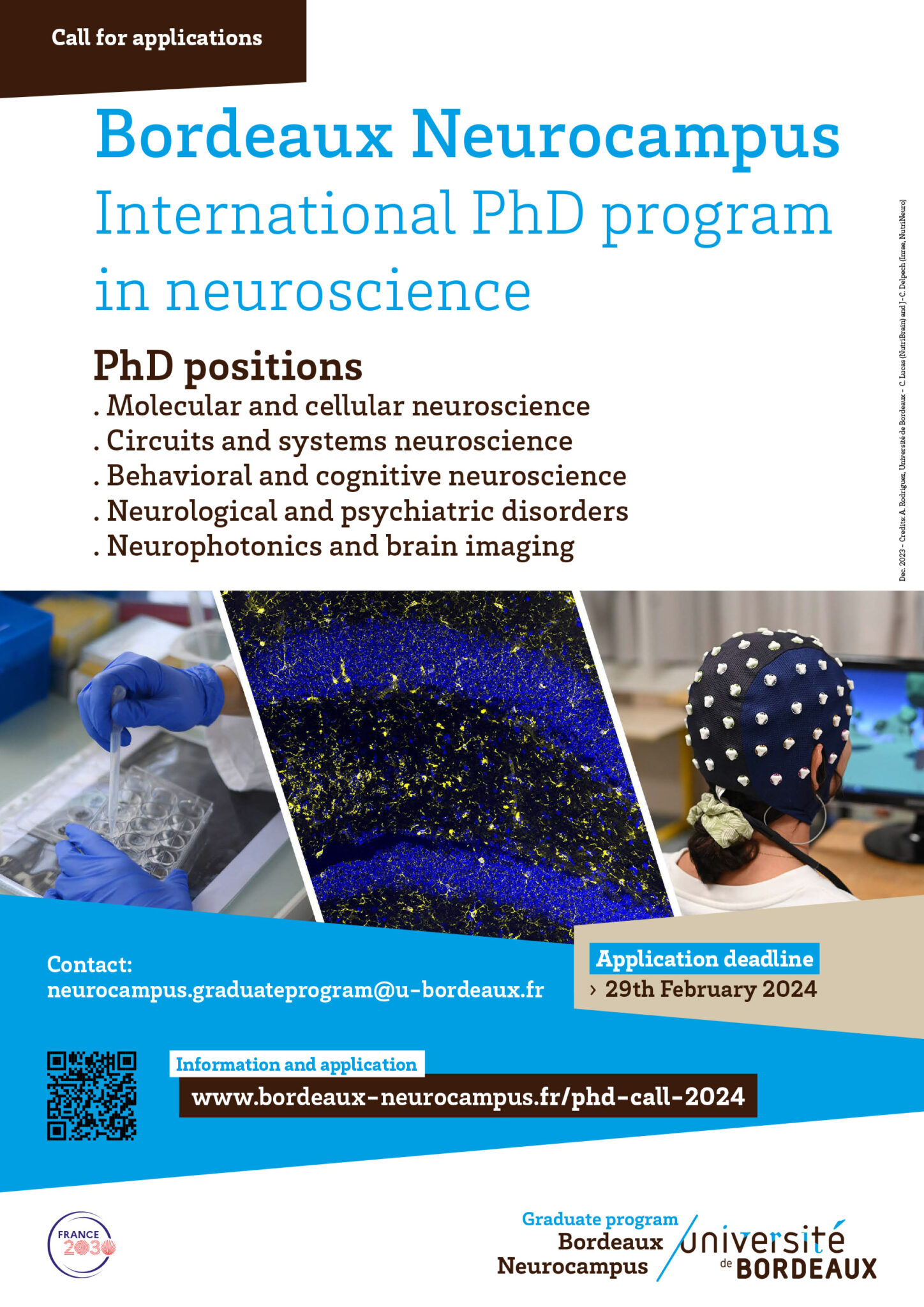 Bordeaux Neurocampus PhD program: Call for applications - 2024 ...