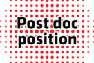 Postdoctoral position in Bioinformatics/Single Cell Biology