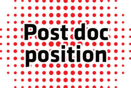 Post doctoral position in Adult neurogenesis and Cognitive aging