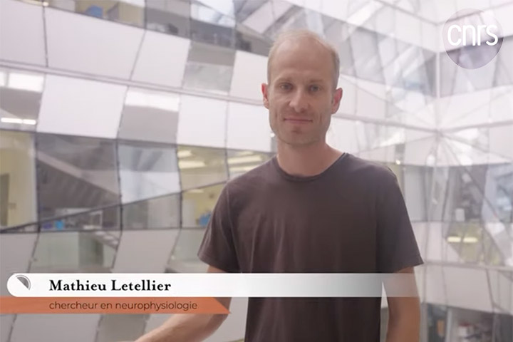 Vidéo : Mathieu Letellier