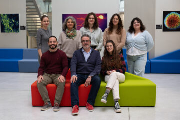 The SynTeam team co-directed by Francesca De Giorgi and François Ichas joins IMN