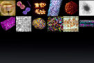Symposium: 3D models in biology: organoids, spheroids, organ-on-a-ship, bioprinted tissues: June 20th, 2024