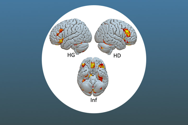 Une étude en imagerie cérébrale révèle comment le cerveau attribue un rôle social à partir des parures et des peintures corporelles