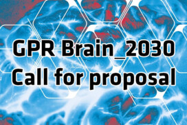 GPR BRAIN_2030 call – PhD Extension Grant 2026