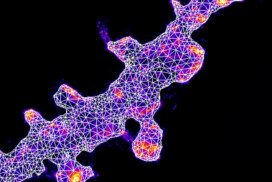 Frontiers in Neurophotonics Symposium