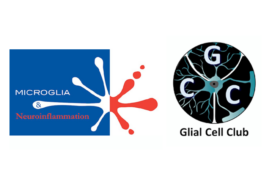 Microglial and Neuroinflammation Thematic Network Workshop