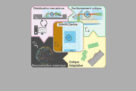 soSMARt: Probing Living Systems at Nanometric Scale and in Depth